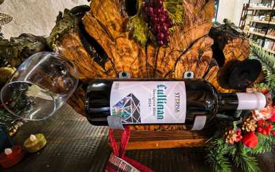 wycieczka jednodniowa